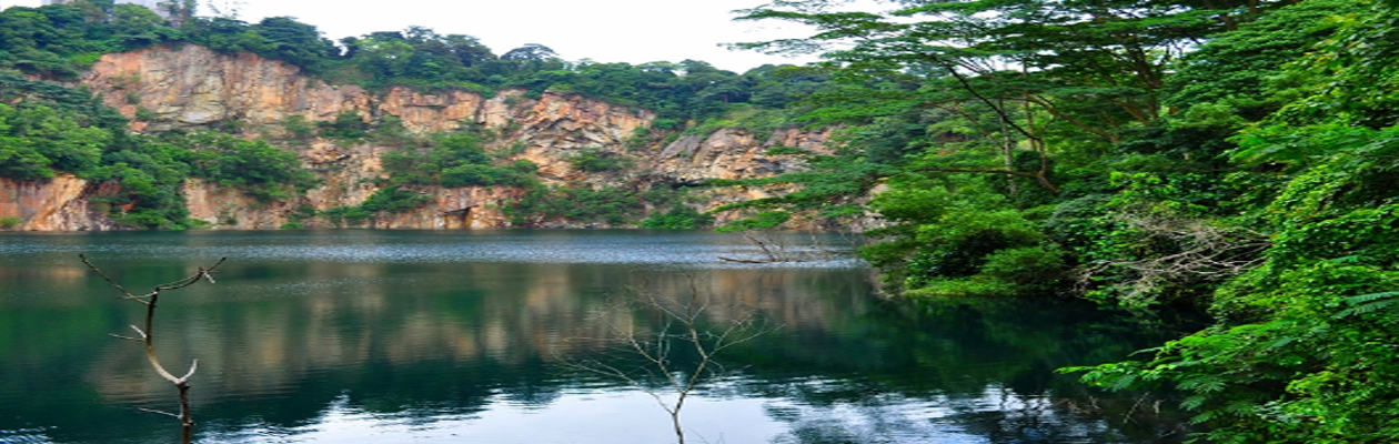 <b style="font-size:18px;font-family:Georgia">Skywoods@Dairy Farm Singapore</b><br>
 
About Skywoods@Dairy Farm Singapore
Welcome to Skywoods, set with a back drop of the Dairy Farm Nature Reserve and amongst the lush greenery rises a new residential development called the Skywoods@Dairy Farm Singapore.
Earmarked as a ...